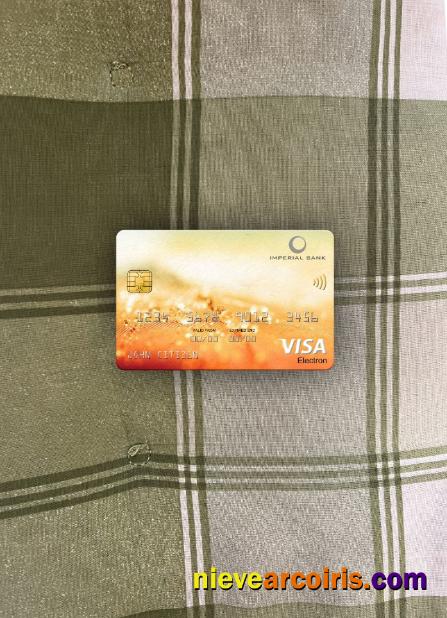 South Africa Imperial Bank visa electron card photolook